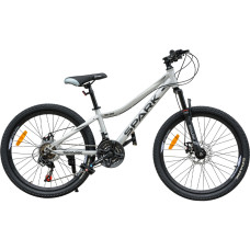 Велосипед SPARK SKADI (колеса - 24", сталева рама - 12") сірий